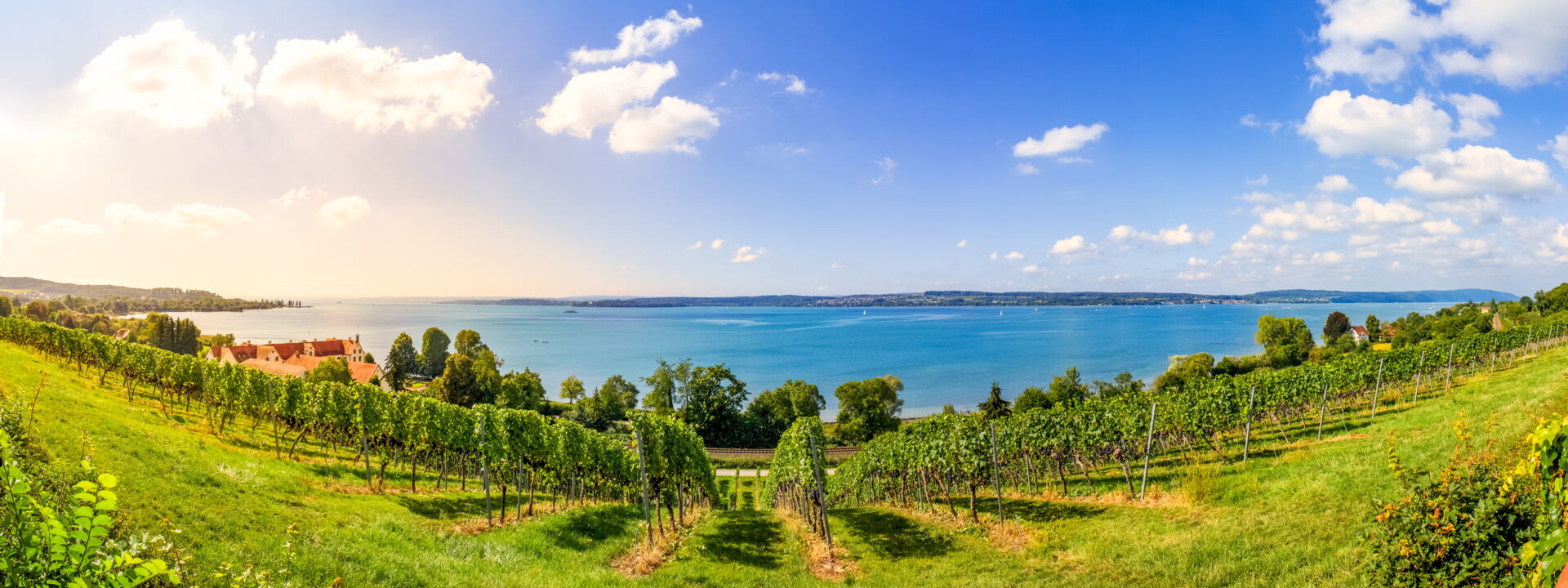 Immobilienregion Bodensee mit Blick vom Weinberg auf den See